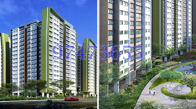 Blk 522B The Premiere @ Tampines (Tampines), HDB 5 Rooms #85303472